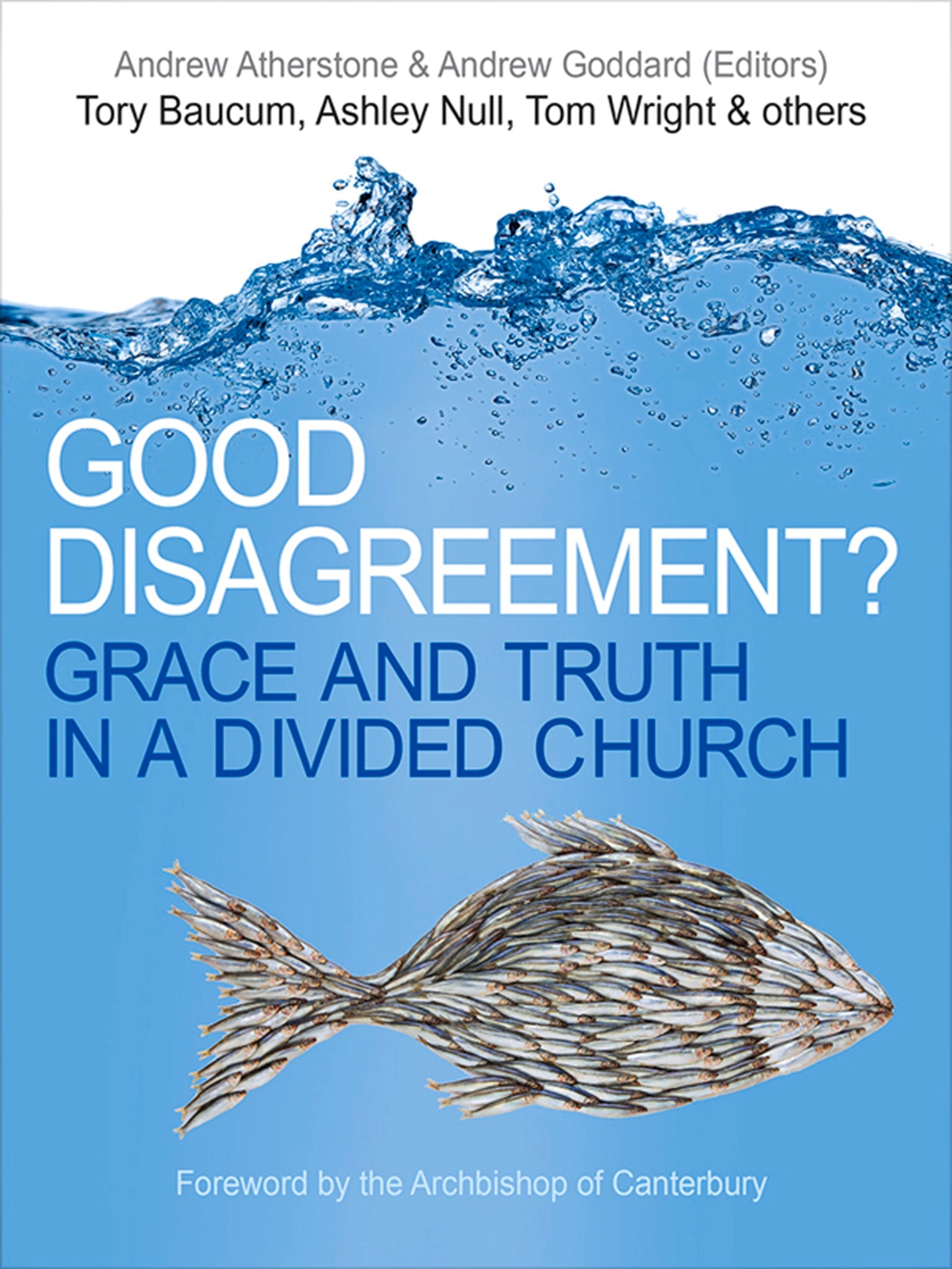 Cover image for Good Disagreement? ISBN 9780745968353